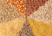نهاده‌های دامی مورد نیاز کشور تا ۴ ماه تامین است