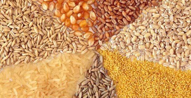 نهاده‌های دامی مورد نیاز کشور تا ۴ ماه تامین است