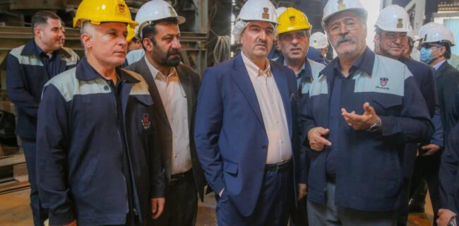 هم‌افزایی مدیریت تخصصی افضلی با رویکرد توسعه‌گرایانه لله‌گانی